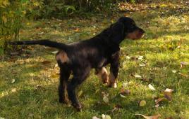 Ronja 12 weeks